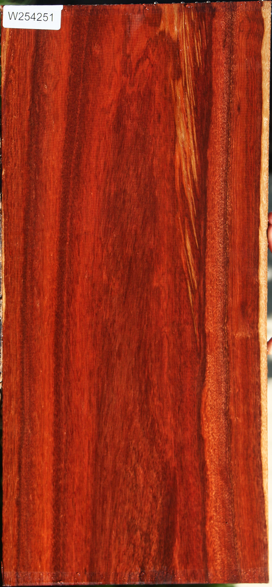 Extra Fancy Bloodwood Lumber
