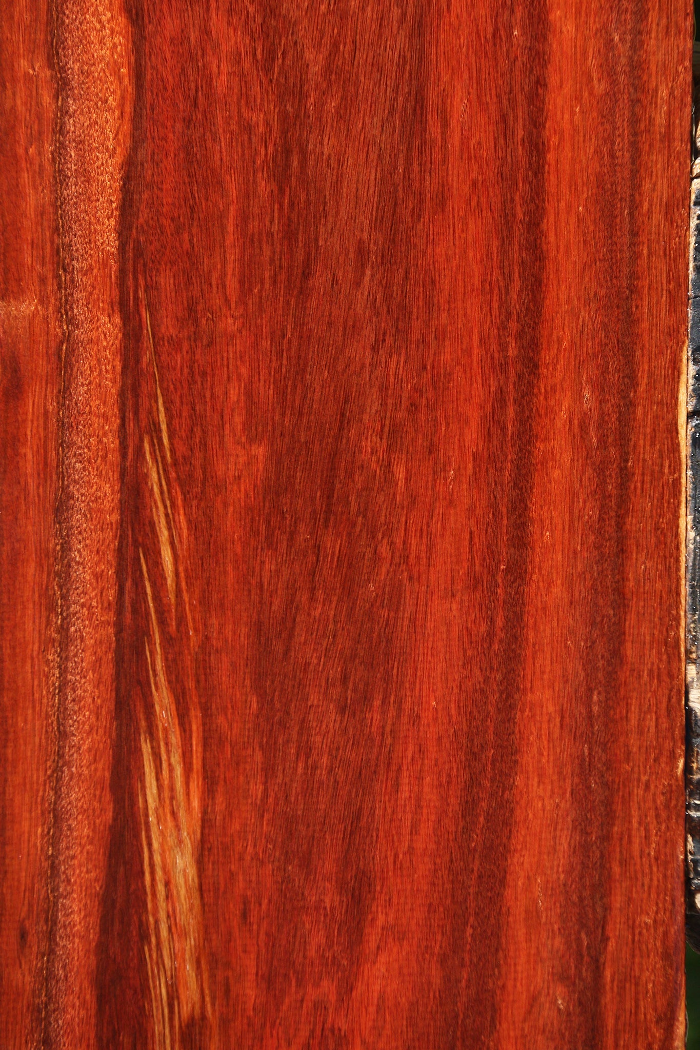 Extra Fancy Bloodwood Lumber