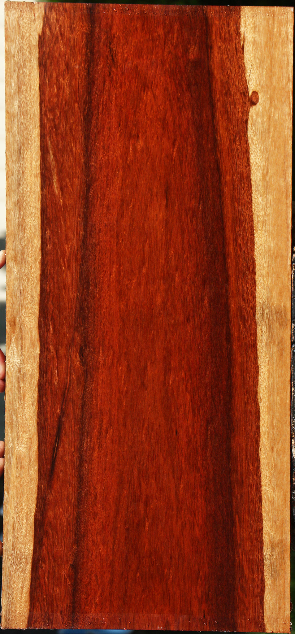 Extra Fancy Bloodwood Lumber