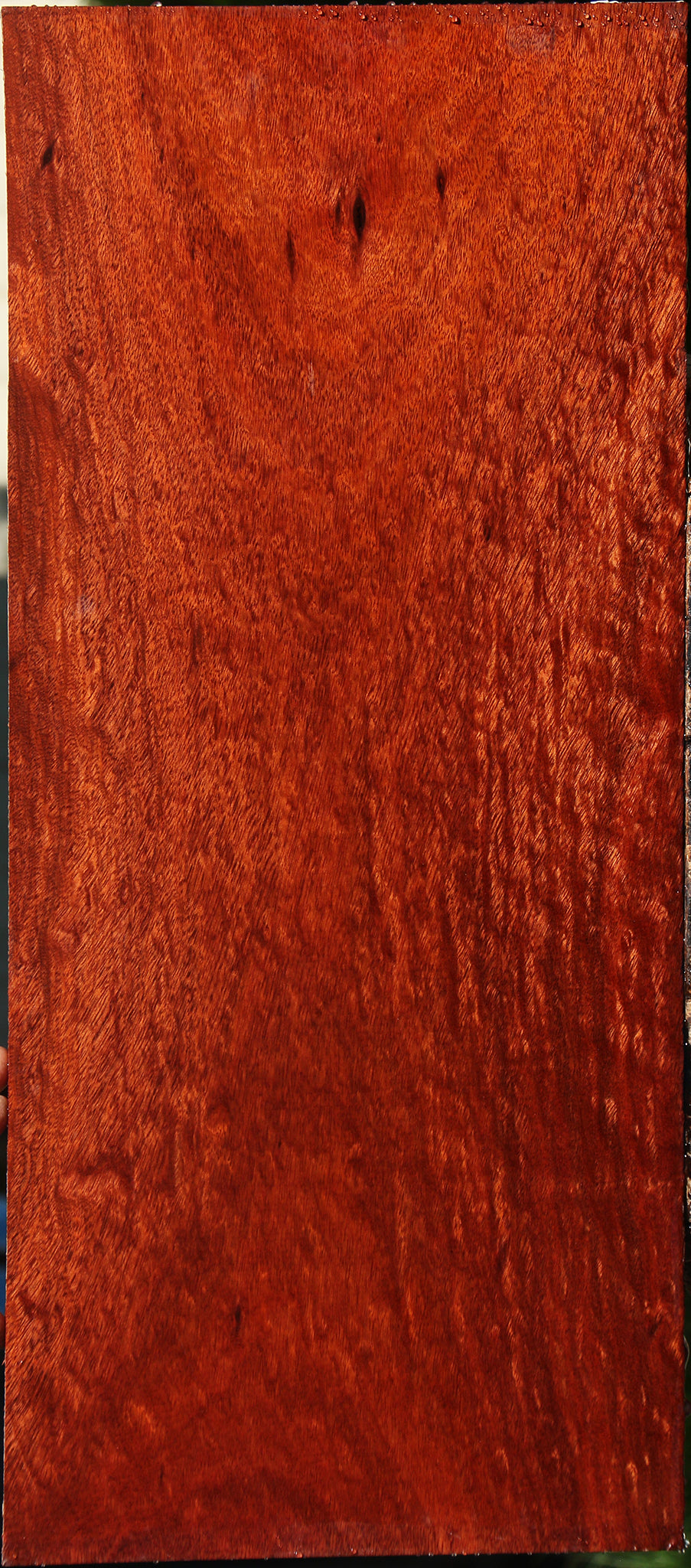 Extra Fancy Bloodwood Lumber