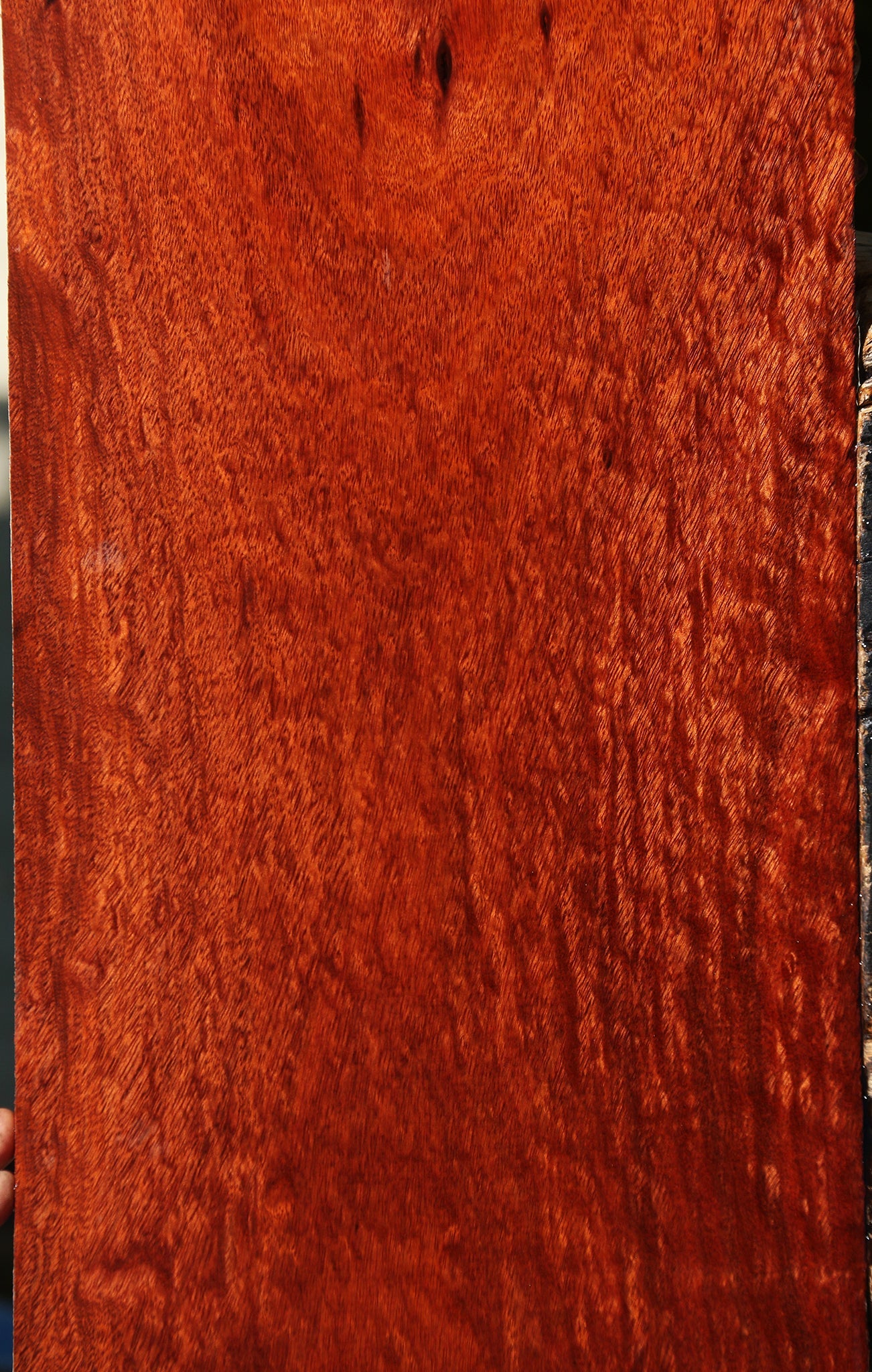 Extra Fancy Bloodwood Lumber