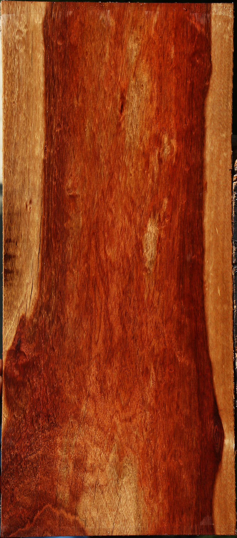 Extra Fancy Bloodwood Lumber