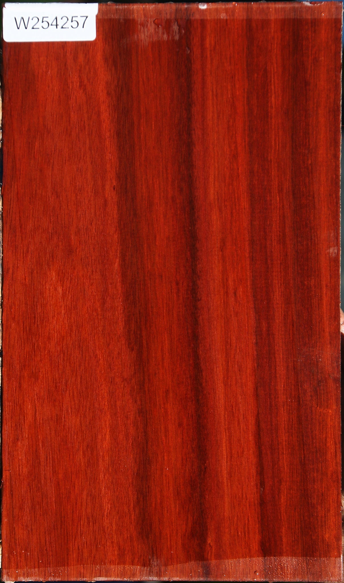 Bloodwood Lumber