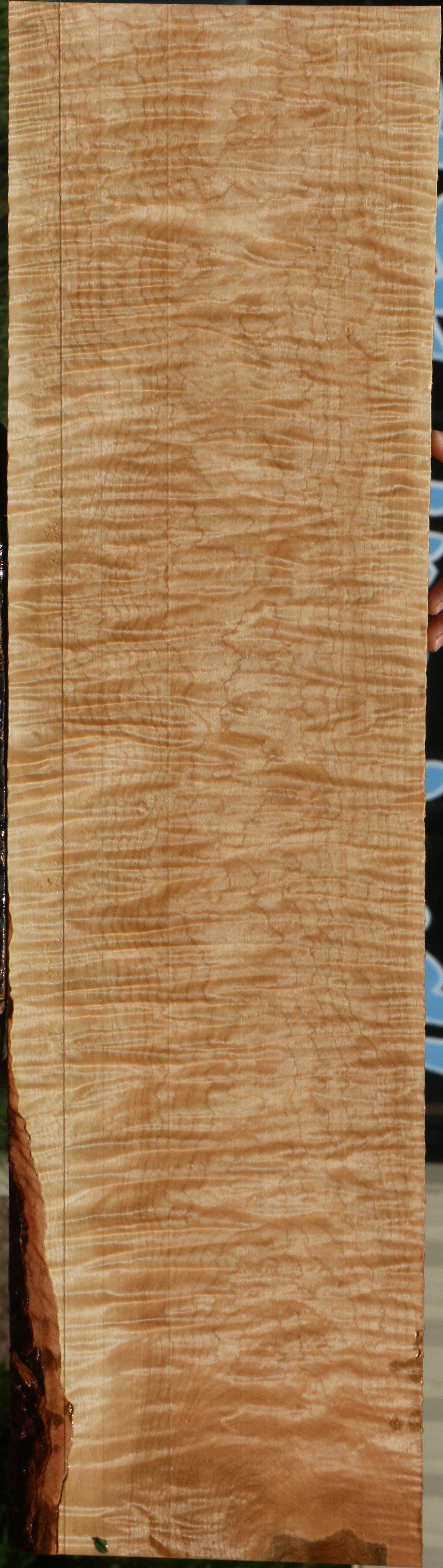 Exhibition Curly Eastern Red Maple Lumber