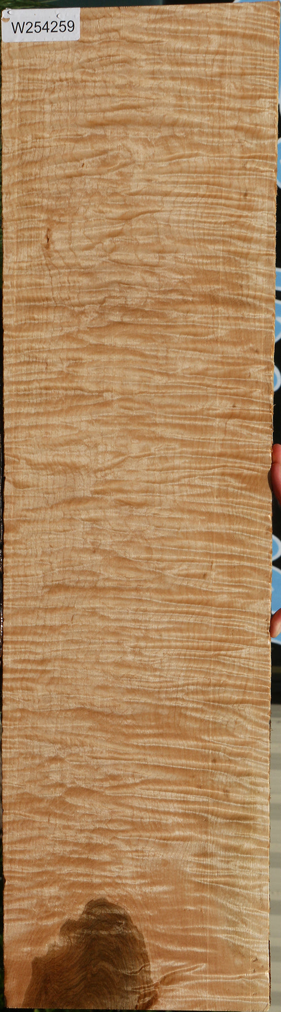 Exhibition Curly Eastern Red Maple Lumber