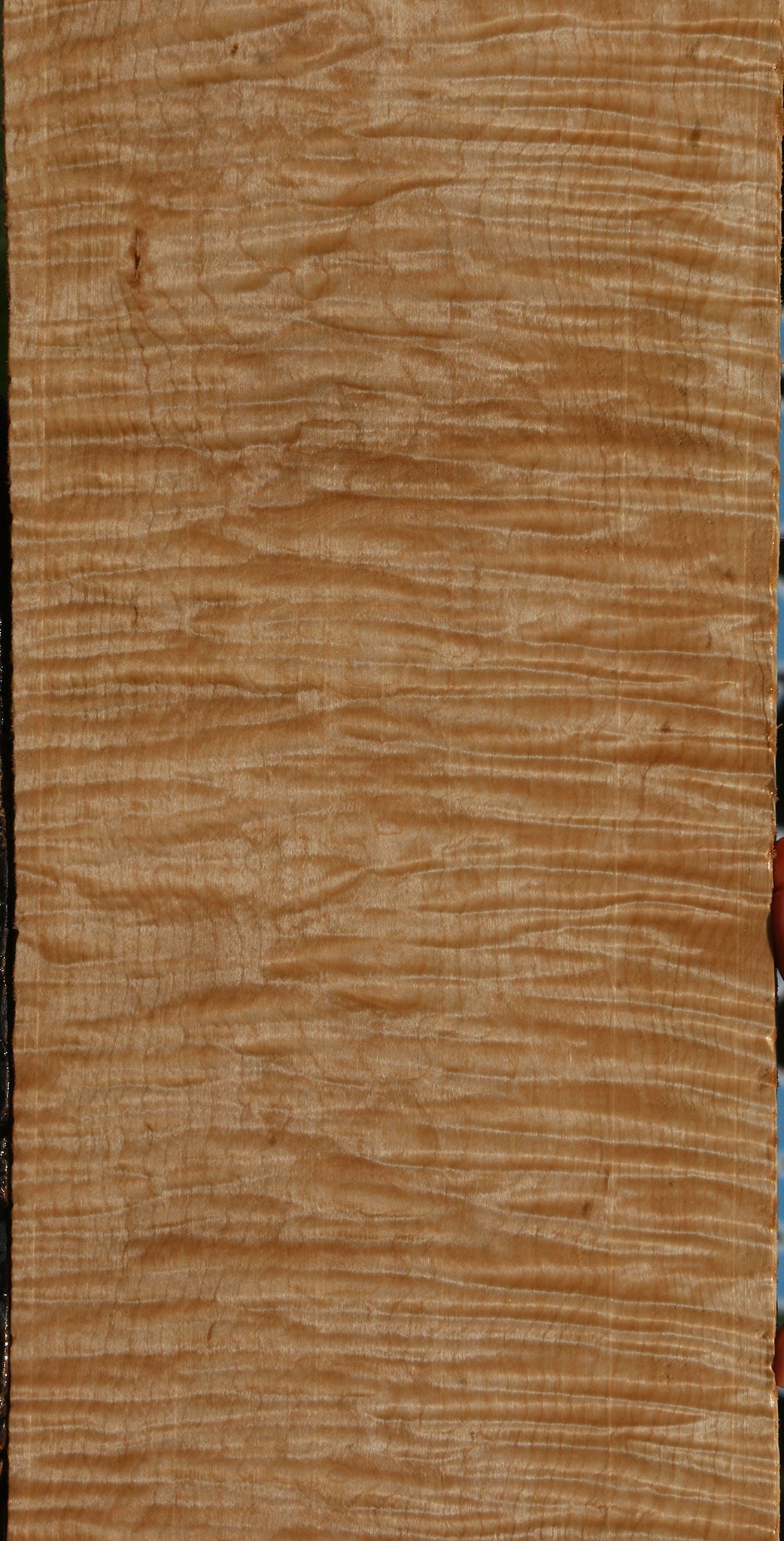 Exhibition Curly Eastern Red Maple Lumber