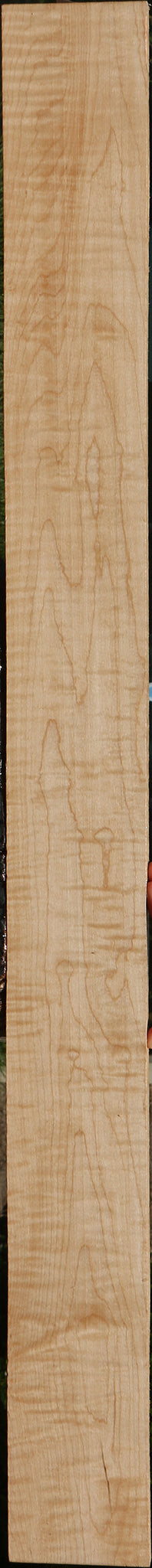 Extra Fancy Curly Eastern Red Maple Lumber