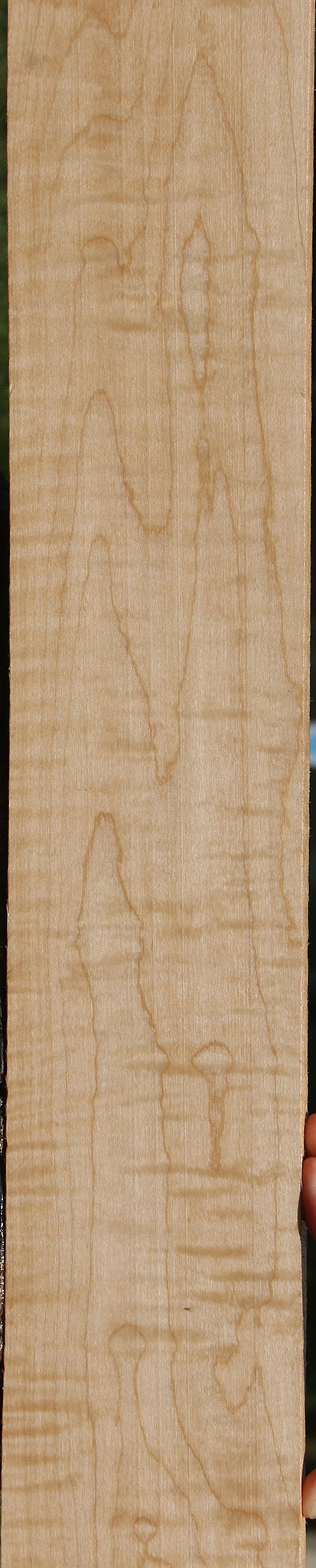 Extra Fancy Curly Eastern Red Maple Lumber