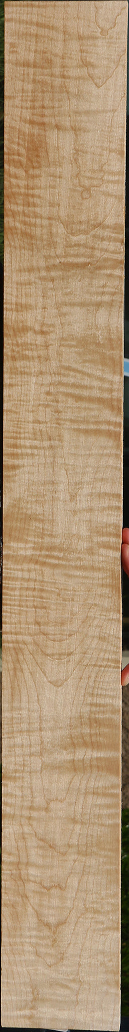 Extra Fancy Curly Eastern Red Maple Lumber