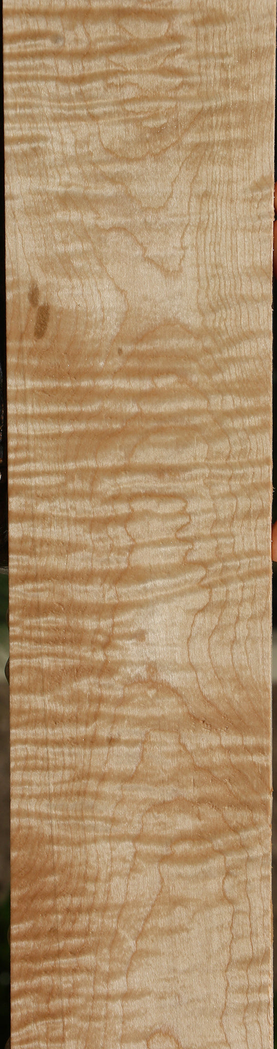 Extra Fancy Curly Eastern Red Maple Lumber