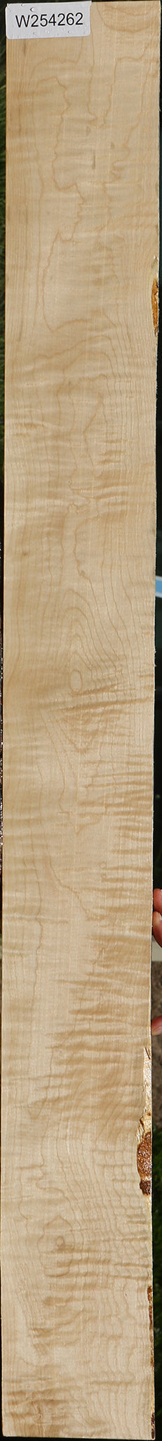Extra Fancy Curly Eastern Red Maple Lumber