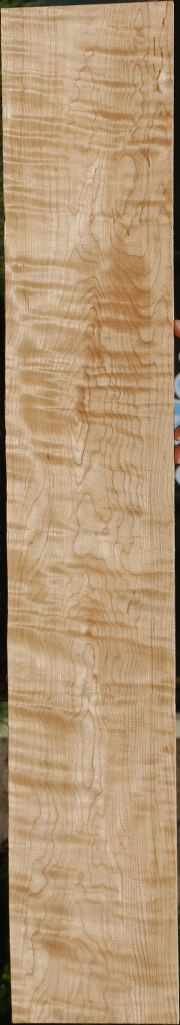 Extra Fancy Curly Eastern Red Maple Lumber