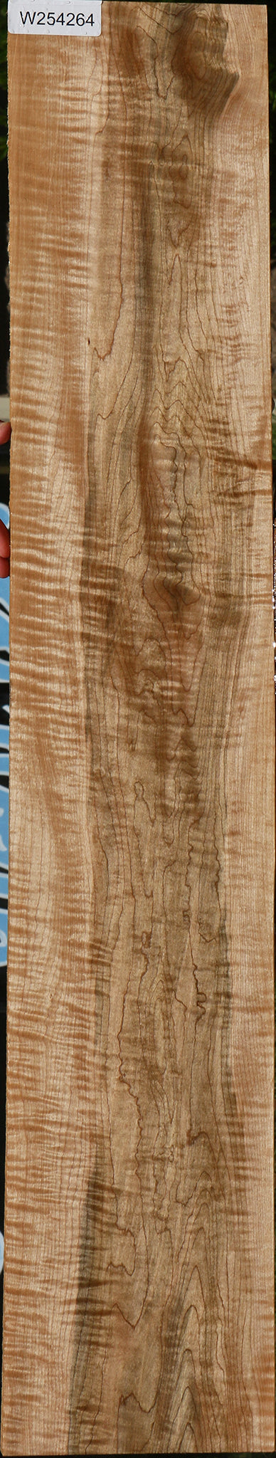 Extra Fancy Curly Ambrosia Maple Lumber