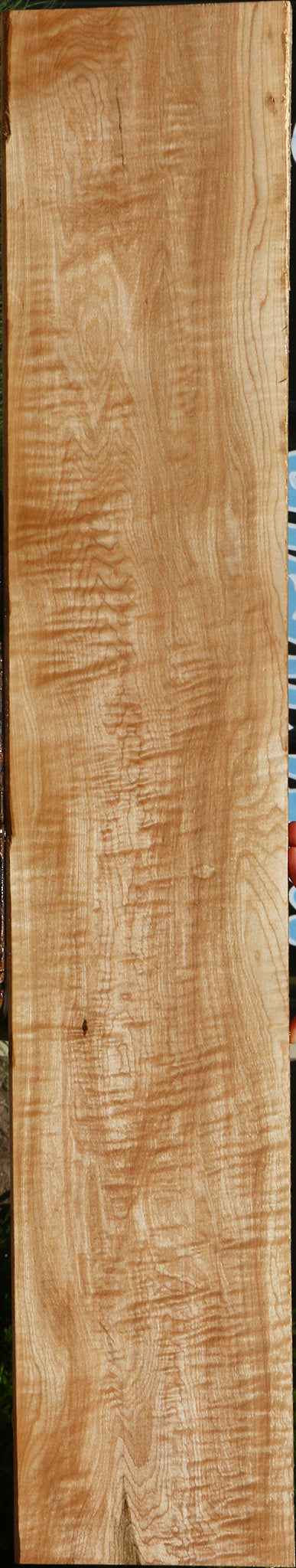 Extra Fancy Curly Ambrosia Maple Lumber
