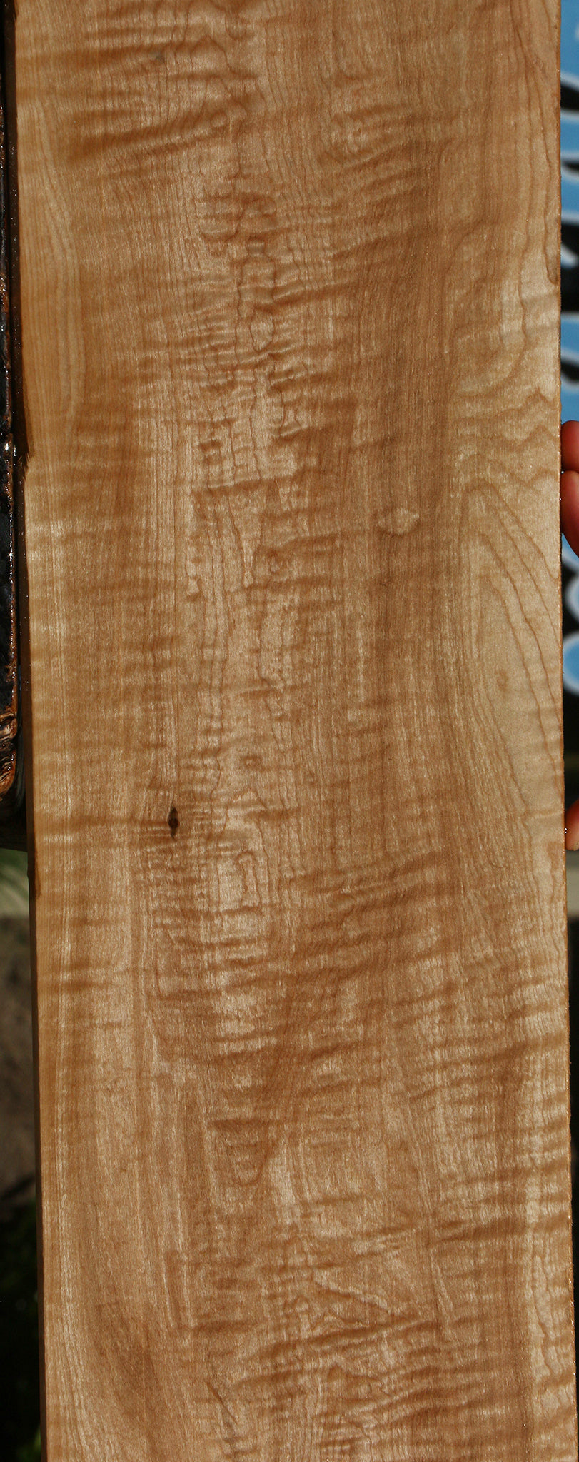 Extra Fancy Curly Ambrosia Maple Lumber