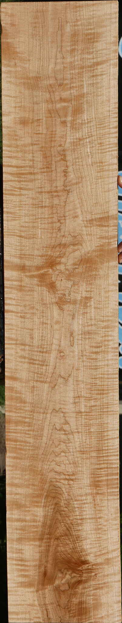 Extra Fancy Curly Eastern Red Maple Lumber