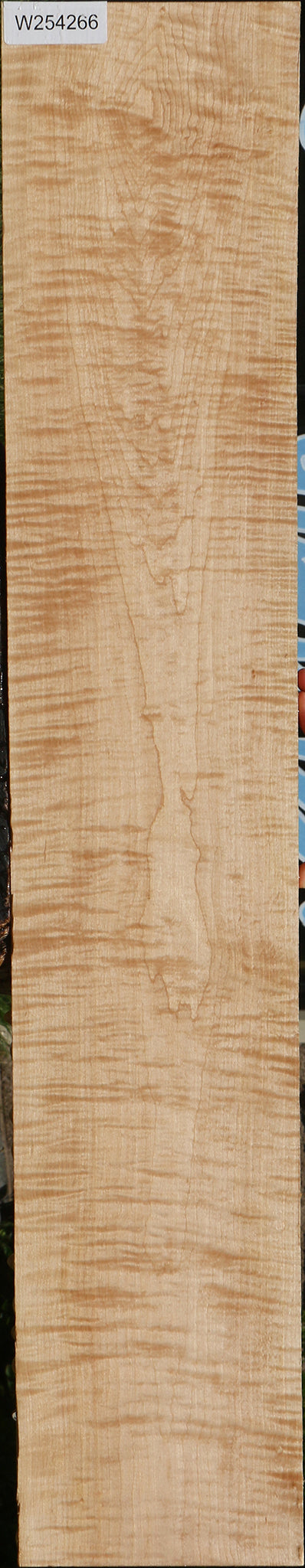 Extra Fancy Curly Eastern Red Maple Lumber