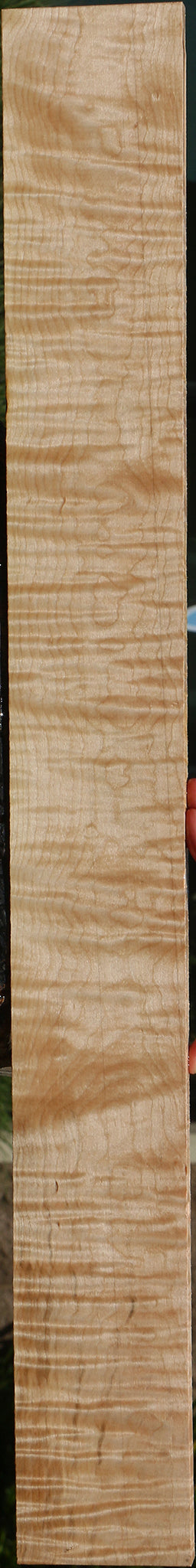 Extra Fancy Curly Eastern Red Maple Lumber