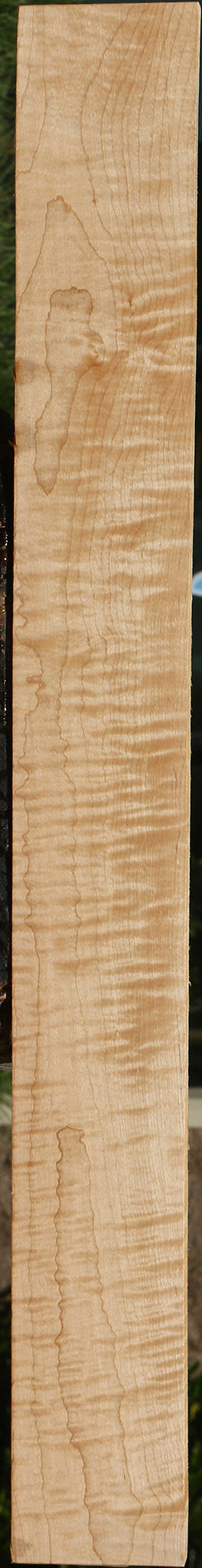 Extra Fancy Curly Eastern Red Maple Lumber