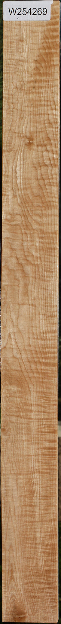 Extra Fancy Curly Ambrosia Maple Lumber