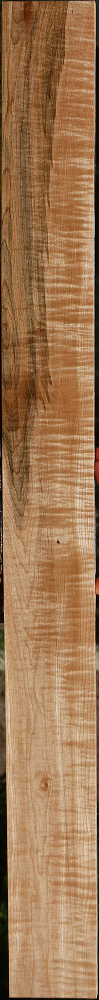 Extra Fancy Curly Ambrosia Maple Lumber