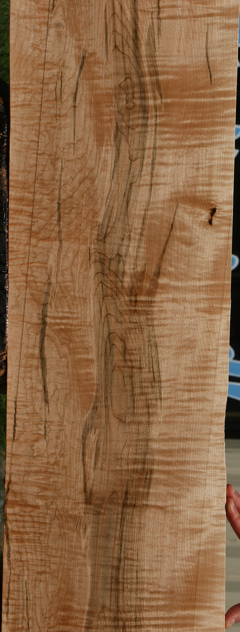 Extra Fancy Ambrosia Maple Lumber