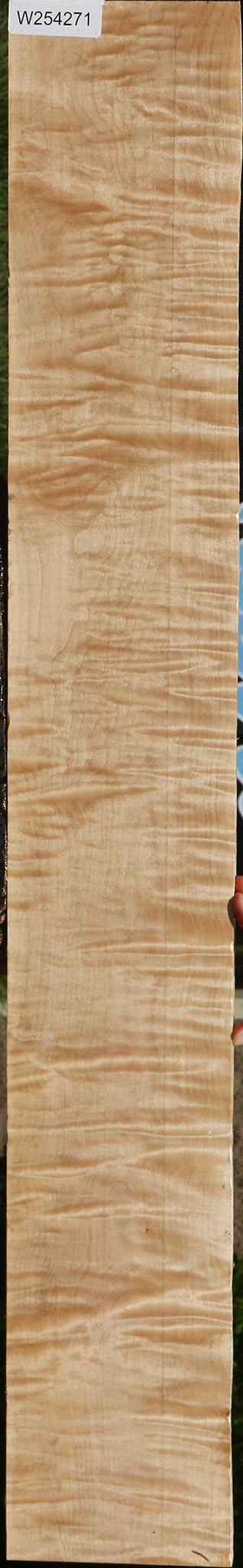 Extra Fancy Curly Eastern Red Maple Lumber