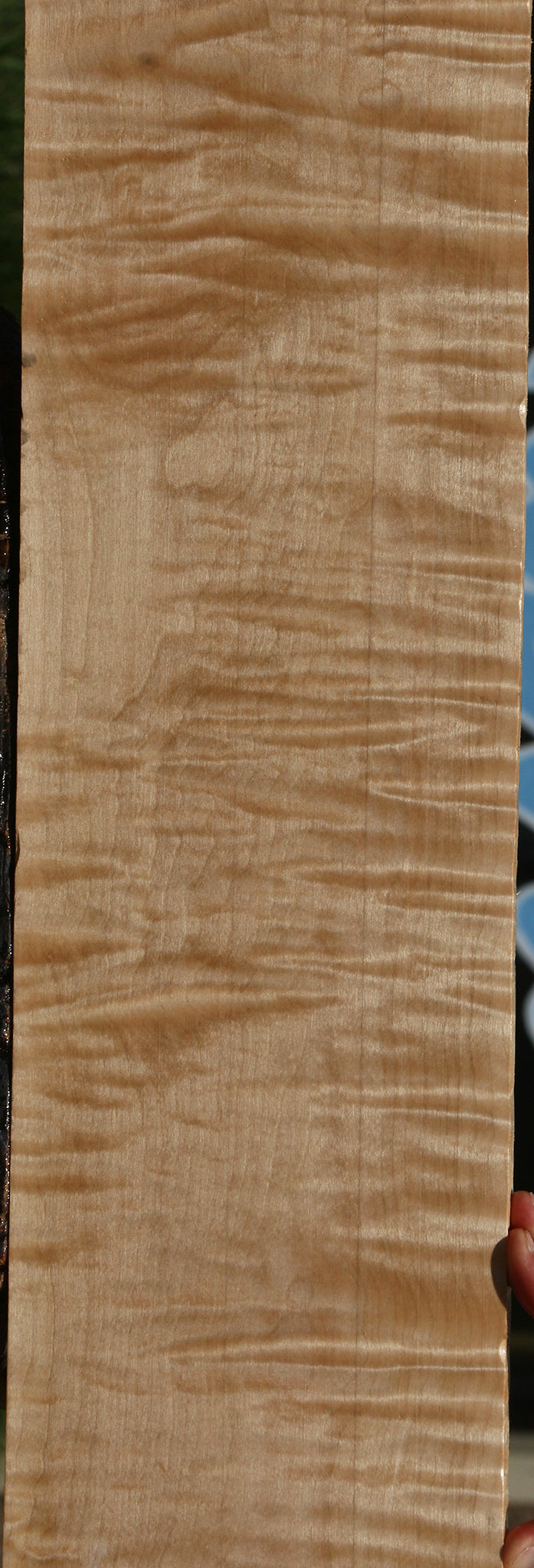Extra Fancy Curly Eastern Red Maple Lumber