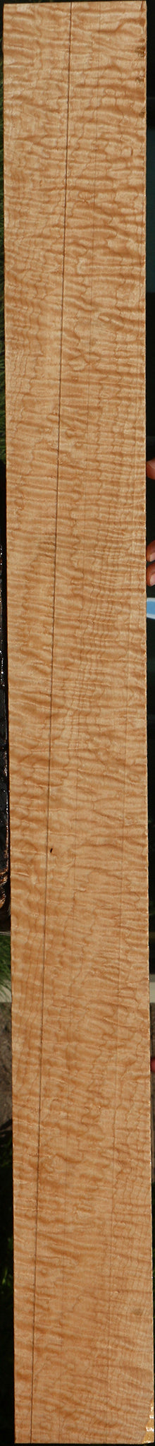 Exhibition Curly Eastern Red Maple Lumber