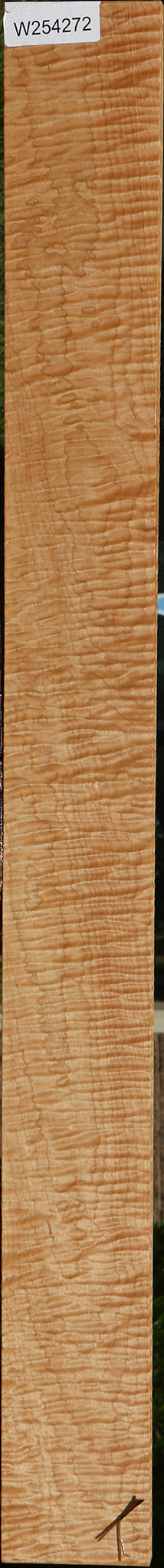 Exhibition Curly Eastern Red Maple Lumber