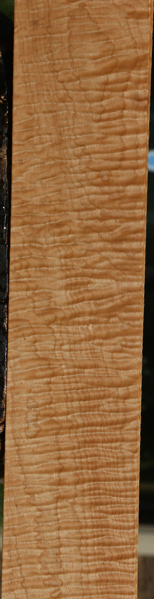 Exhibition Curly Eastern Red Maple Lumber