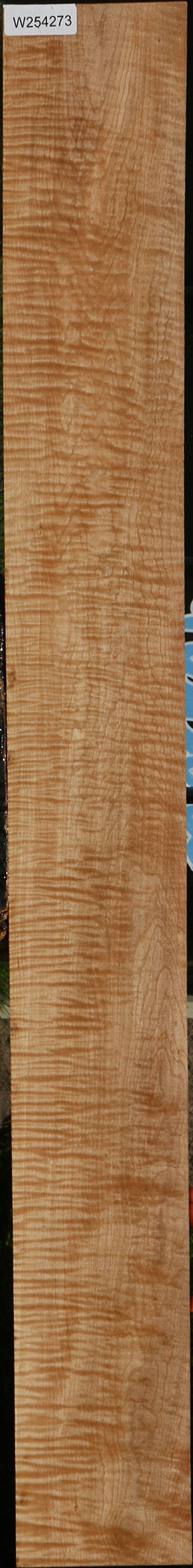 Extra Fancy Ambrosia Maple Lumber