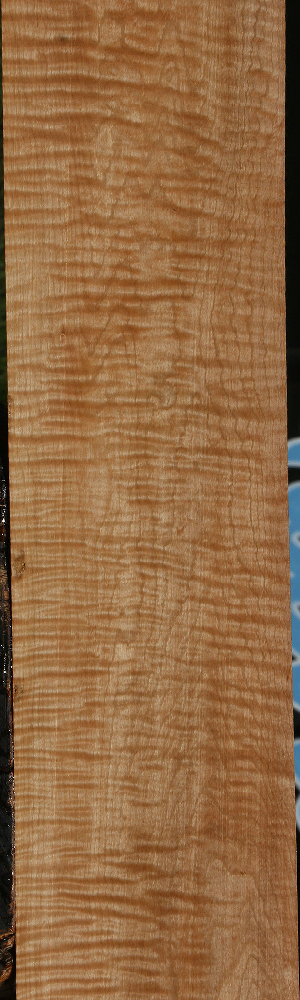 Extra Fancy Ambrosia Maple Lumber