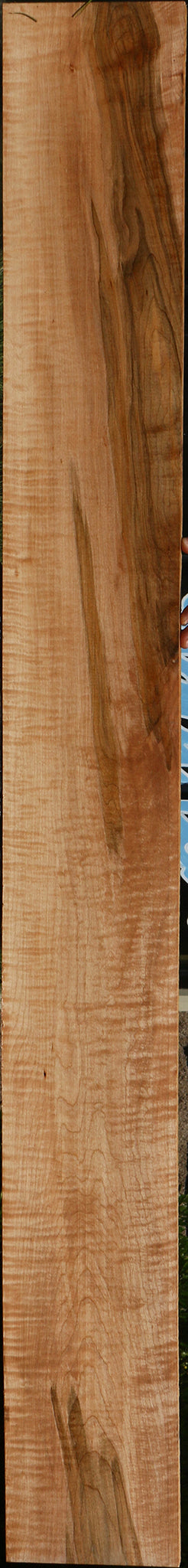 Extra Fancy Ambrosia Maple Lumber