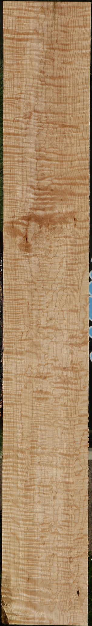 Extra Fancy Ambrosia Maple Lumber