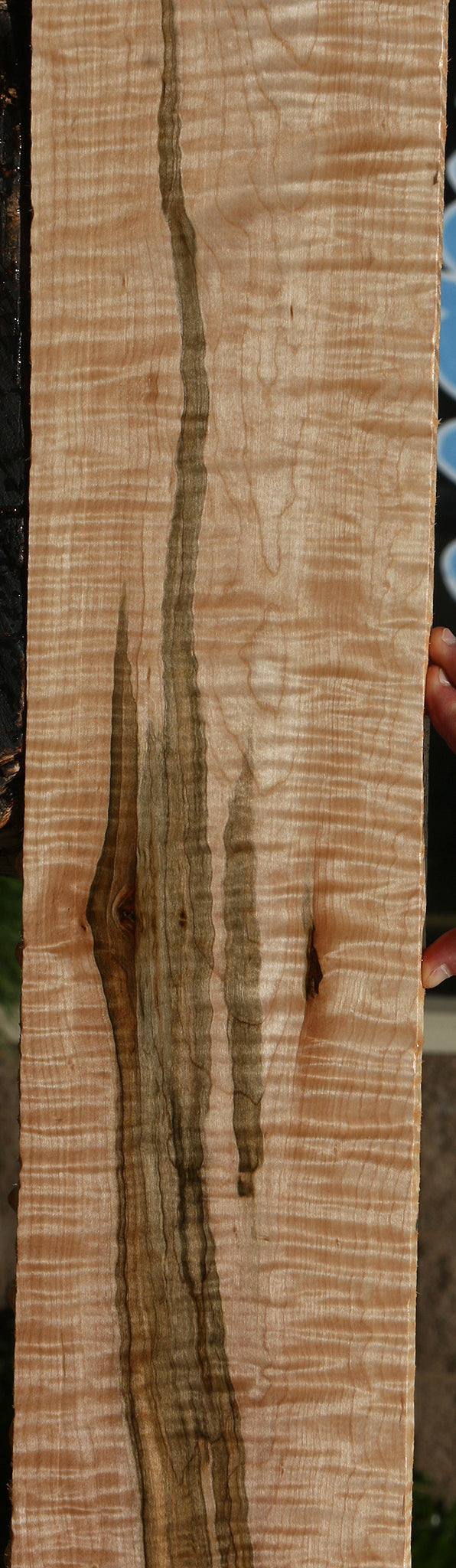 Extra Fancy Ambrosia Maple Lumber