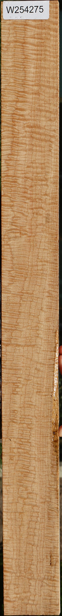 Exhibition Curly Eastern Red Maple Lumber
