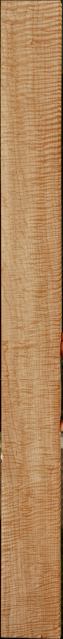 Exhibition Curly Eastern Red Maple Lumber
