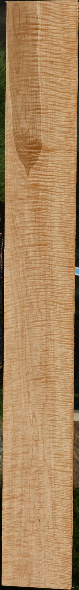 Exhibition Curly Eastern Red Maple Lumber