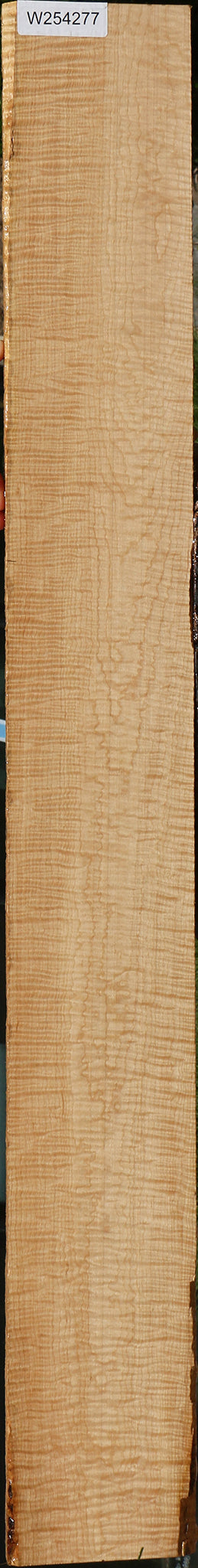 Exhibition Curly Eastern Red Maple Lumber