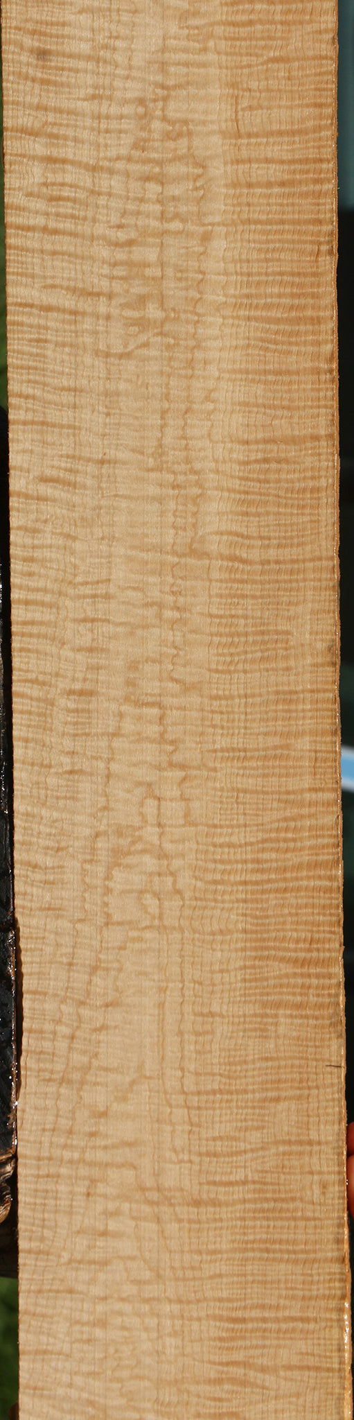 Exhibition Curly Eastern Red Maple Lumber