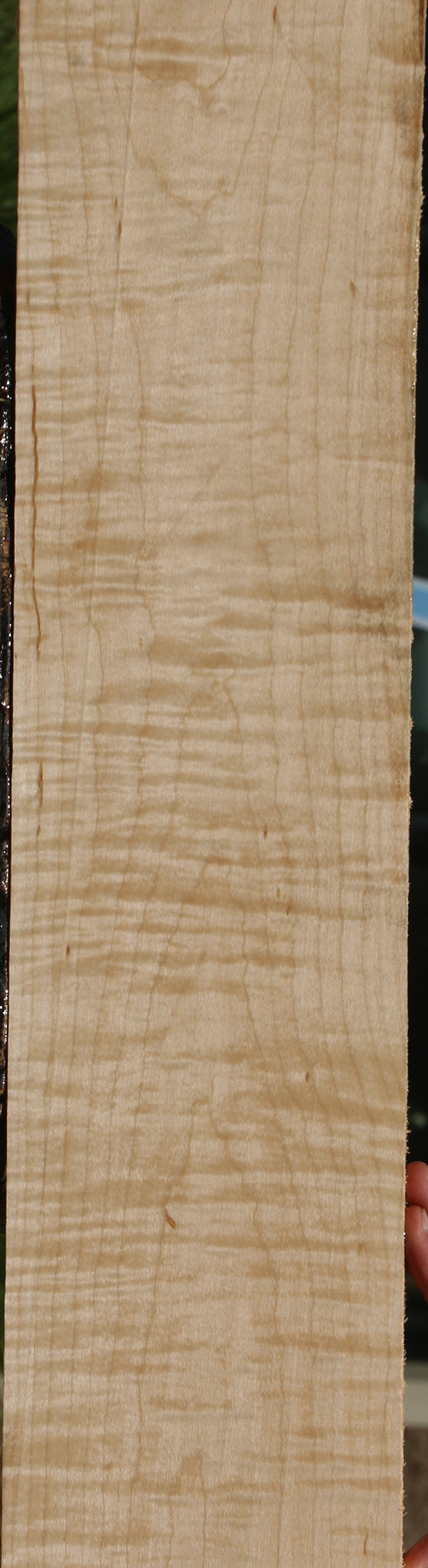 Figured Curly Eastern Red Maple Lumber