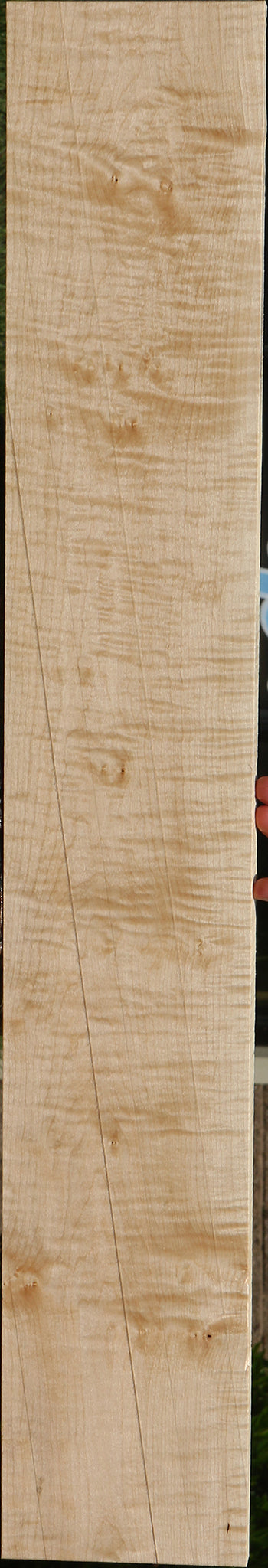 Extra Fancy Curly Eastern Red Maple Lumber