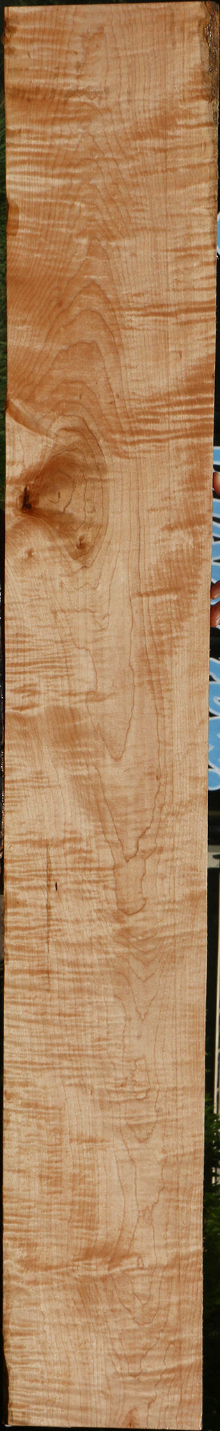 Extra Fancy Curly Eastern Red Maple Lumber
