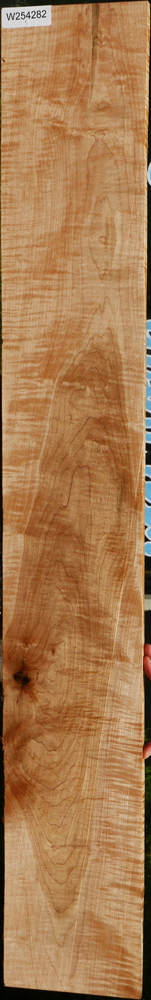 Extra Fancy Curly Eastern Red Maple Lumber