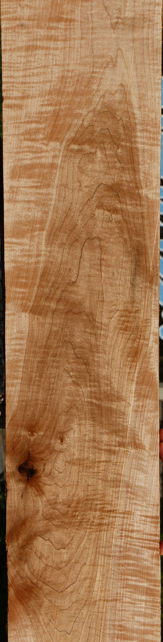 Extra Fancy Curly Eastern Red Maple Lumber