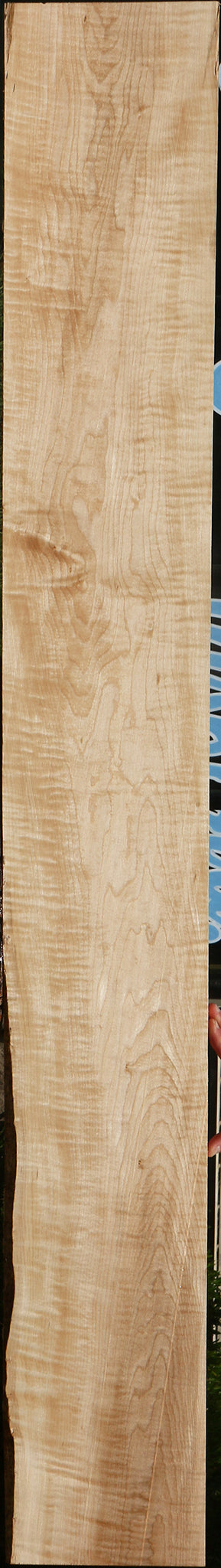 Figured Curly Eastern Red Maple Lumber