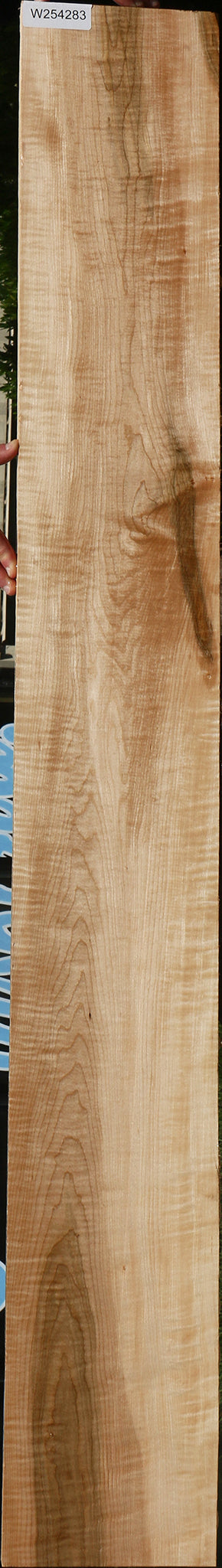 Figured Curly Eastern Red Maple Lumber