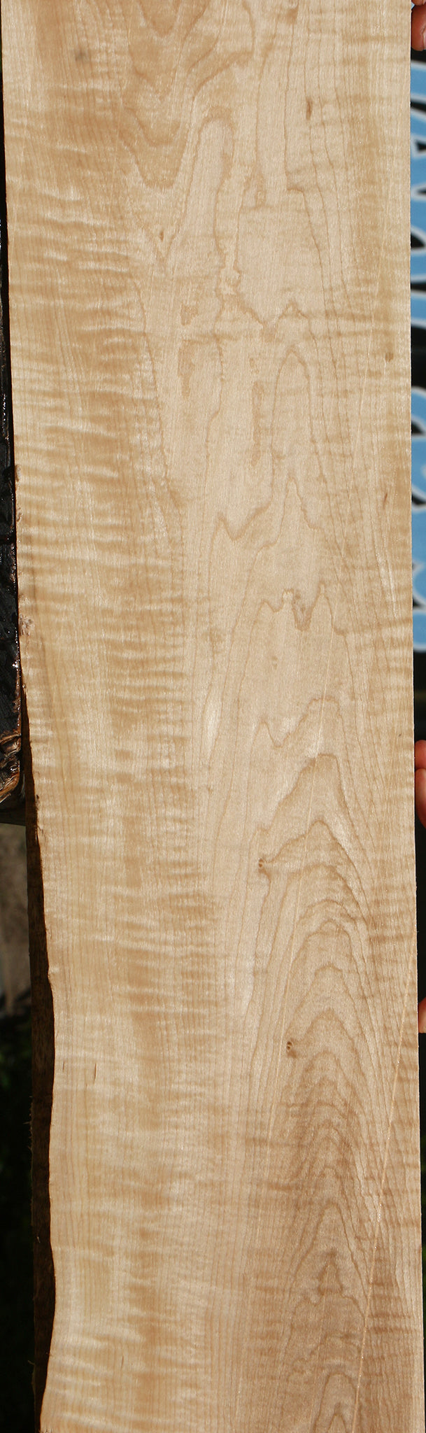 Figured Curly Eastern Red Maple Lumber