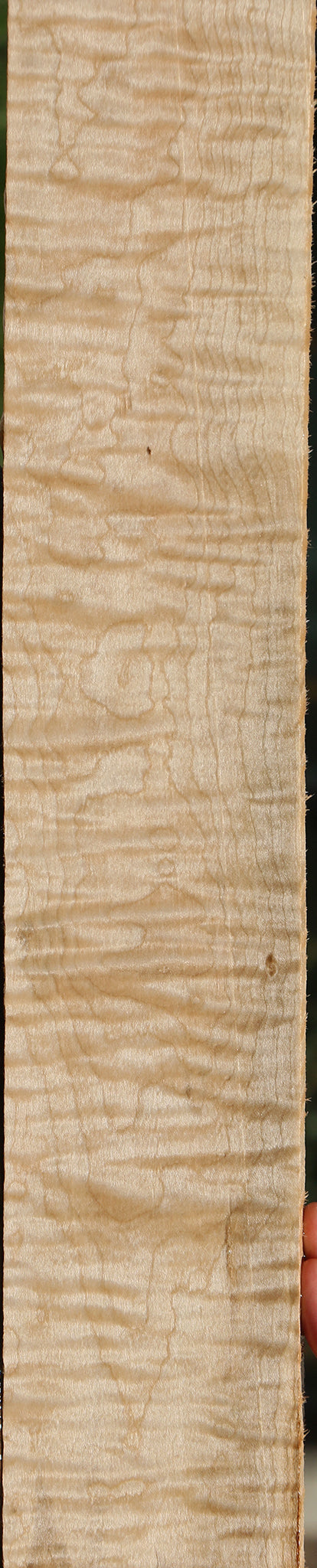 Extra Fancy Curly Eastern Red Maple Lumber